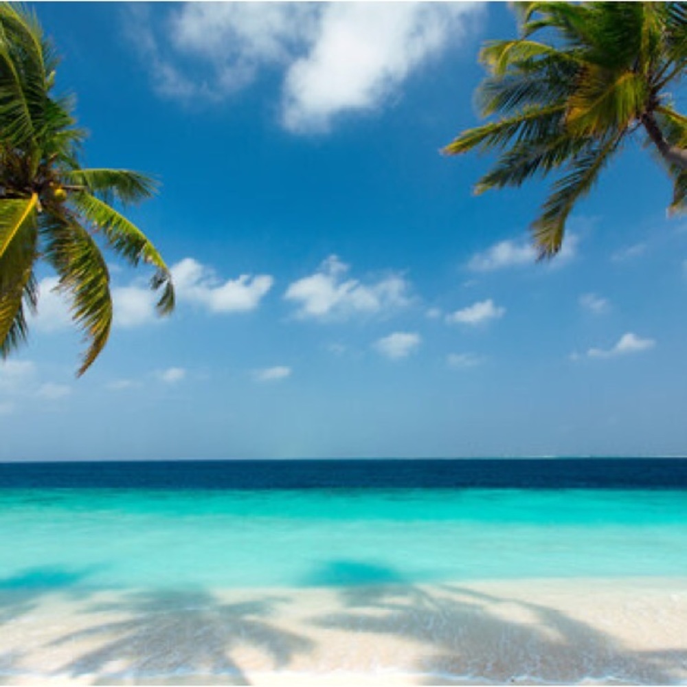 Meet your Posher, Sabrina